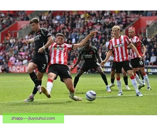 南安普顿附加赛逆袭成功成功升入英超 迎接全新挑战